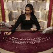 Blackjack VIP 15 game screenshot